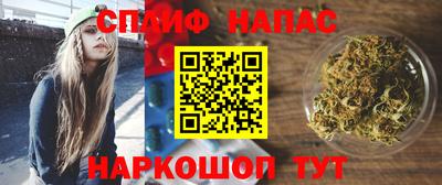 гидропоника Пугачёв