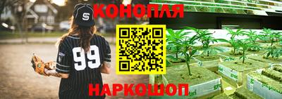 гидропоника Пугачёв