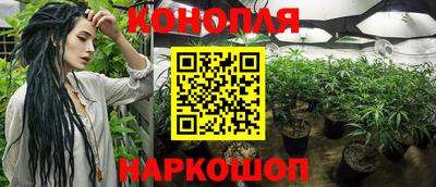 гидропоника Пугачёв