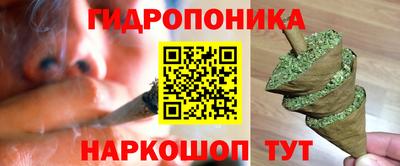 гидропоника Пугачёв