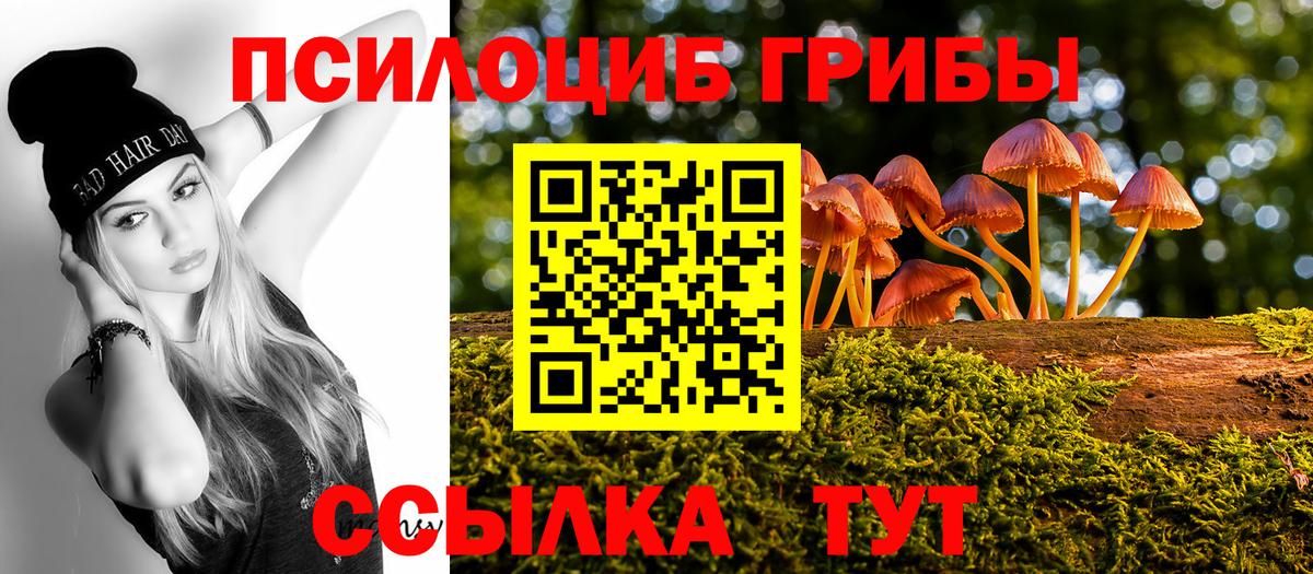 Трёхгорный  Галлюциногенные грибы GOLDEN TEACHER  Вход с VPN 